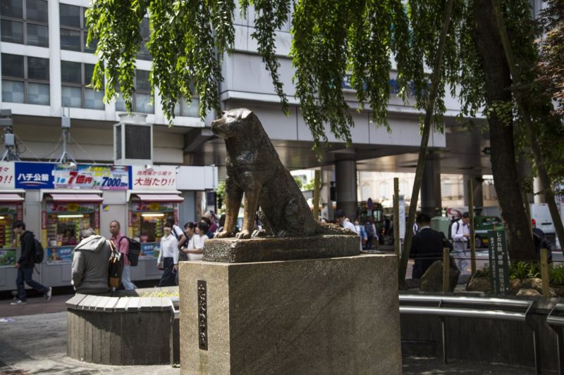 tượng hachiko ở shibuya